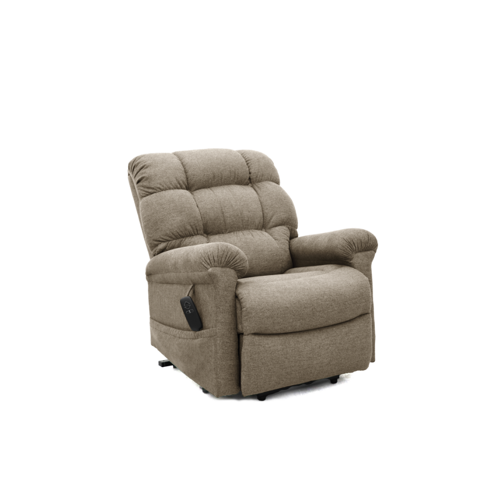 Electric Lift Recliner Chair with Dual Motor and Adjustable Backrest